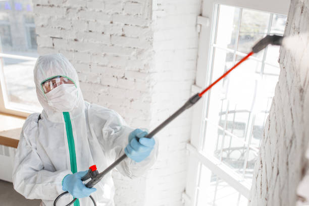 Trusted Hopkinsville, KY Mold Removal Experts
