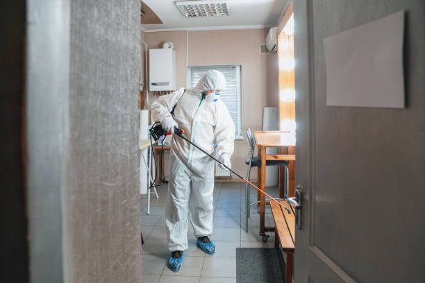 Best Basement Mold Removal  in Hopkinsville, KY