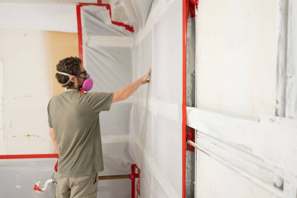 Best Mold Odor Removal Services  in Hopkinsville, KY