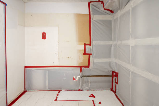 Best Post-Remediation Verification Testing  in Hopkinsville, KY