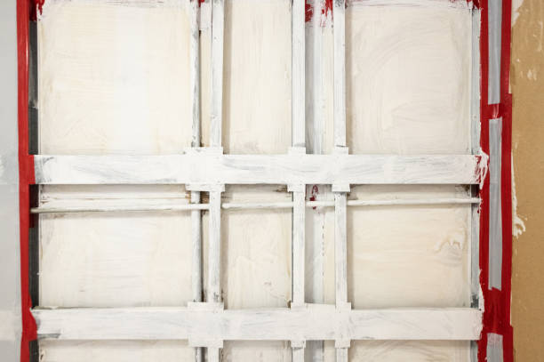 Best Mold Damage Restoration  in Hopkinsville, KY