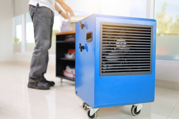 Hopkinsville, KY Mold Removal Pros