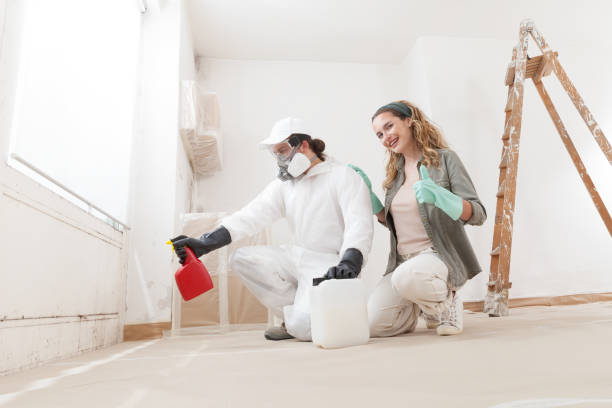 Best Crawl Space Mold Remediation  in Hopkinsville, KY